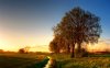 Файл=walls183000.jpg
Розмір файлу=935KB
Розміри фото=1920x1200
Дата долучення=25 Груд 2007р. walls183000.jpg