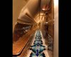 Файл=A340I5.jpg
Розмір файлу=59KB
Розміри фото=720x576
Дата долучення=11 Жовт 2005р. A340I5.jpg