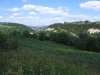 IMG_4590.JPG