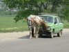 Файл=Picture_004.jpg
Розмір файлу=556KB
Розміри фото=1280x960
Дата долучення=29 Трав 2008р. Picture_004.jpg