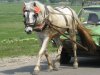 Файл=Picture_005.jpg
Розмір файлу=536KB
Розміри фото=1280x960
Дата долучення=29 Трав 2008р. Picture_005.jpg