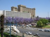 Файл=South Africa-1-014.jpg
Розмір файлу=211KB
Розміри фото=800x600
Дата долучення=13 Жовт 2005р. South Africa-1-014.jpg