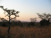 Файл=South Africa-1-034.jpg
Розмір файлу=154KB
Розміри фото=800x600
Дата долучення=13 Жовт 2005р. South Africa-1-034.jpg