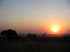 Файл=South Africa-1-039.jpg
Розмір файлу=75KB
Розміри фото=800x600
Дата долучення=13 Жовт 2005р. South Africa-1-039.jpg