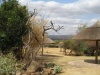 Файл=South Africa-3-007.jpg
Розмір файлу=231KB
Розміри фото=800x600
Дата долучення=13 Жовт 2005р. South Africa-3-007.jpg