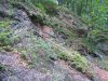 img_8968.jpg
