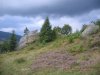 img_9023.jpg