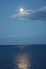 Файл=kovtonyuk_viddzerkal_02.jpg
Розмір файлу=121KB
Розміри фото=313x470
Дата долучення=14 Січ 2009р. kovtonyuk_viddzerkal_02.jpg