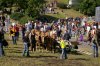 img_kr_day3_037.jpg