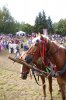 img_kr_day3_041.jpg