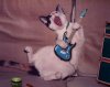 Файл=rock-cat2.jpg
Розмір файлу=29KB
Розміри фото=468x373
Дата долучення=24 Лист 2006р. rock-cat2.jpg