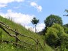 Файл=P7056917.jpg
Розмір файлу=215KB
Розміри фото=800x600
Дата долучення=20 Лип 2006р. P7056917.jpg