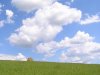 Файл=P7056919.jpg
Розмір файлу=115KB
Розміри фото=800x600
Дата долучення=20 Лип 2006р. P7056919.jpg