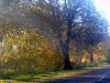 Файл=PA294376.jpg
Розмір файлу=294KB
Розміри фото=800x600
Дата долучення=20 Лип 2006р. PA294376.jpg